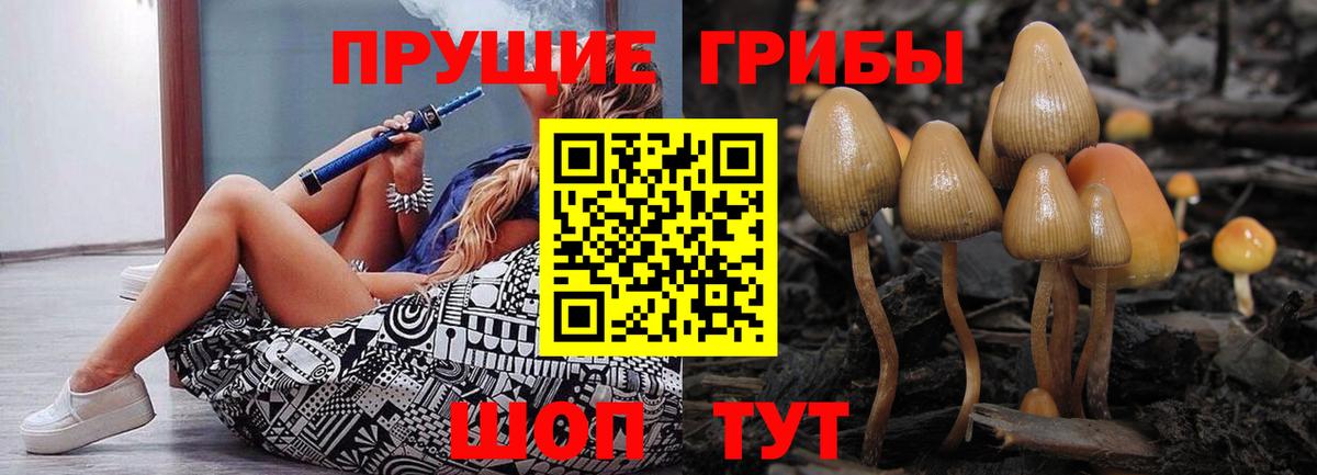 Ярцево  Псилоцибиновые грибы MAGIC MUSHROOMS  Вход с VPN 