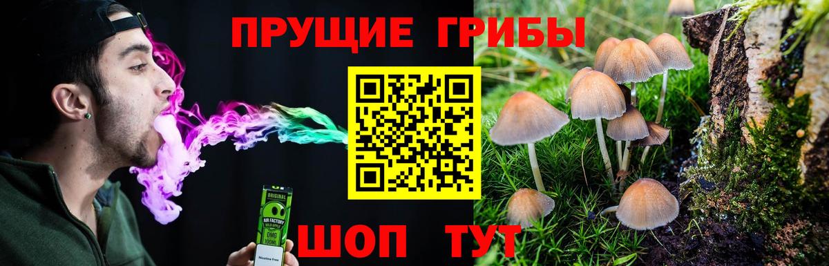 Псилоцибиновые грибы прущие грибы Ярцево